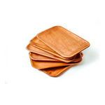 Pack 6 platos rectangular asado (20x30 cm)